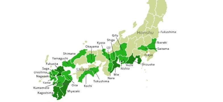 Regiões produtoras de chá verde